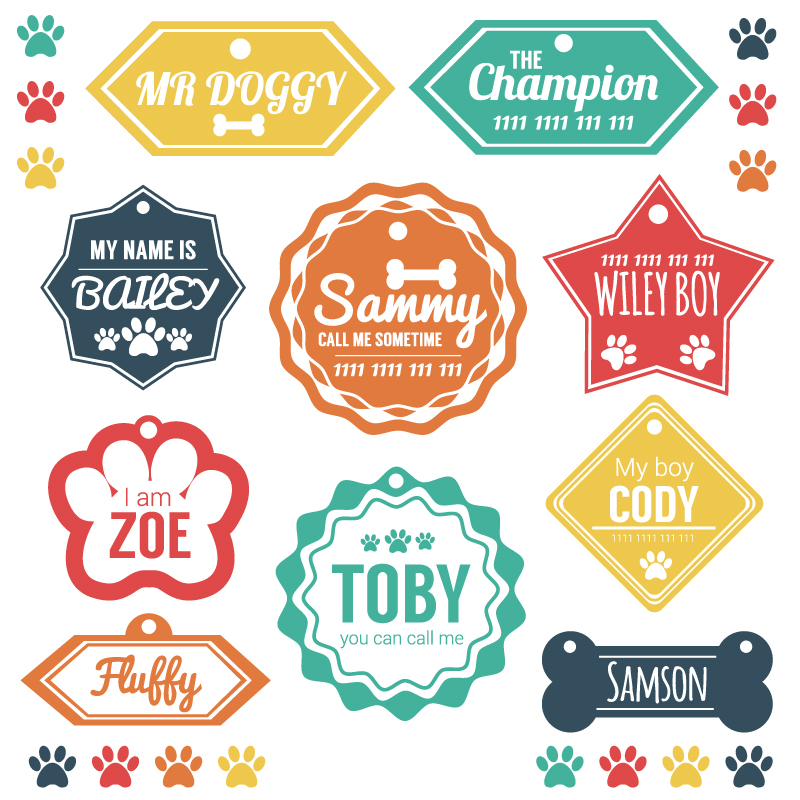 10 Modelle von Farbe dog tag Vektor Material
