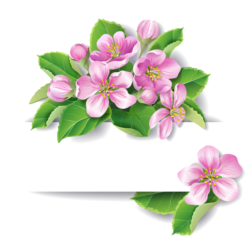 Schön dekoriert rosa Bl¨šten Banner Vektor Material