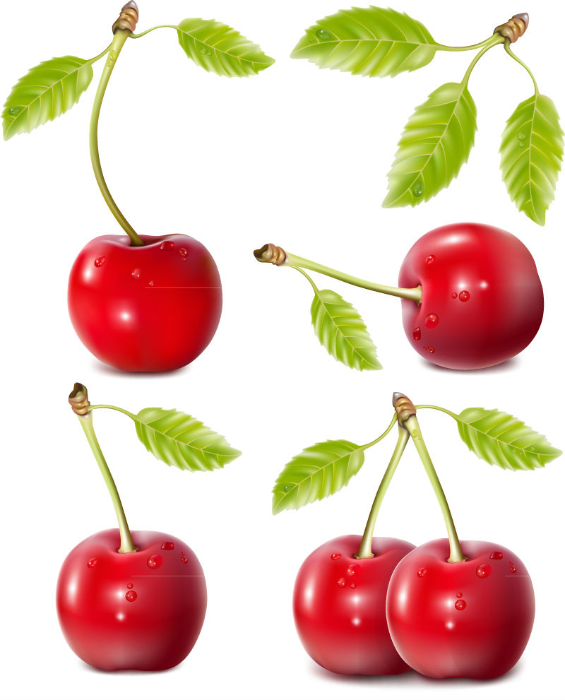 4 lebendige rote Kirsche Vektor-Material
