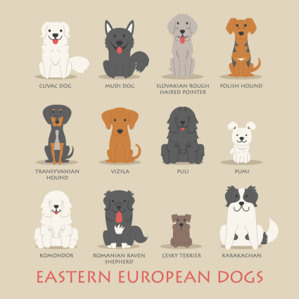 12 osteuropäischen Comic-Hund-Design Vektor-Material