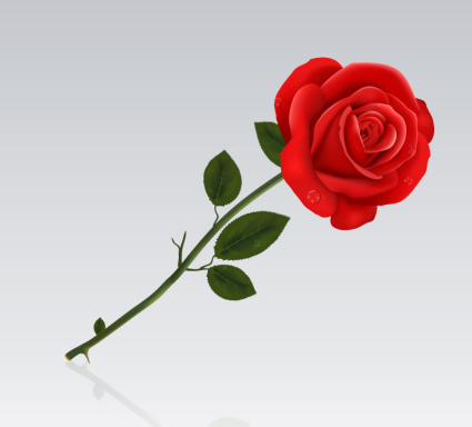 Einzelne rote Rosen Vektor Material