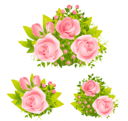 Gruppe 3 schöne rosa Rosen Vektor Material
