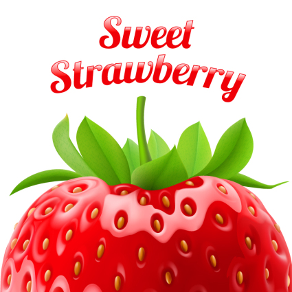 Köstliche frische Erdbeeren Vektor
