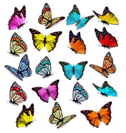 19 Modelle von Farbe Schmetterling Vektor-Material