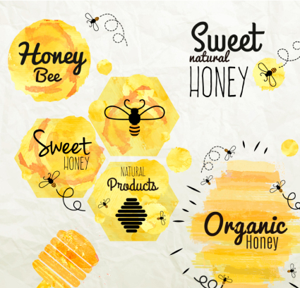 6 aquarell schatz label vector karte
