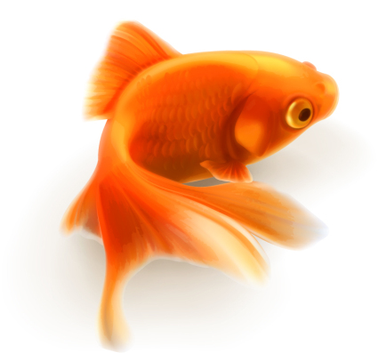 Goldfisch-Vektor-Material realistischen Design