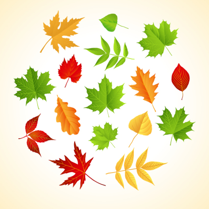 farbe leaf design vector material
