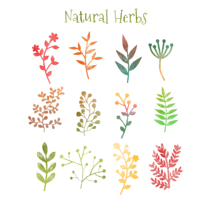 12 aquarell ast vector material
