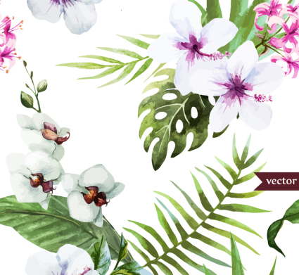 White Hibiscus und Schmetterling Orchidee Vektoren

