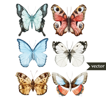 6 Schöne Aquarell Schmetterling Vektor
