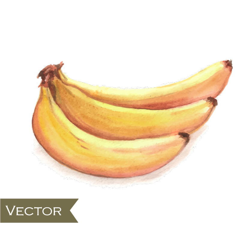 Köstliche gelbe Bananen Vektor-Material
