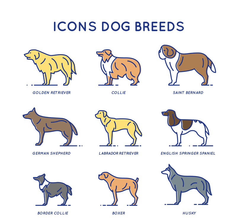 9 Kreative Haustier-Hund-Symbol Vektor-Material