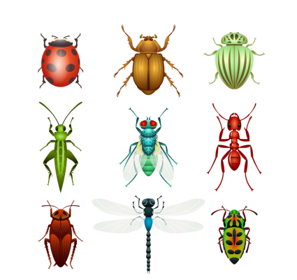 9 Arten von Insekten Vektor-Design-Material