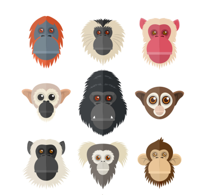 9 kreative Affe und Orang-Utan Avatare Vektor Material