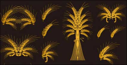Europäische dekoratives Element Vektor Material Gold