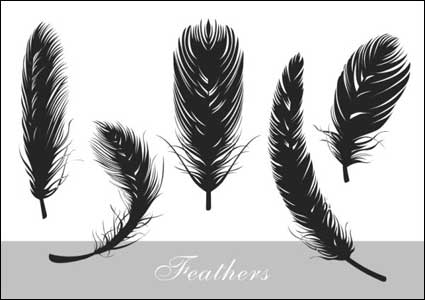 Realistische Feder silhouette vector