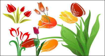 Tulip Vektor Material