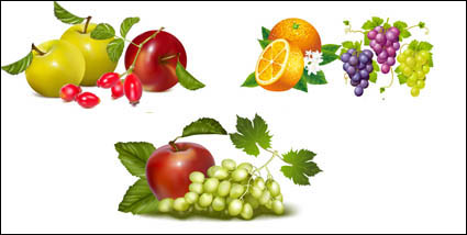 Fruit Vektor Material