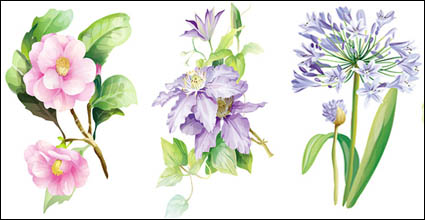 7 elegante Aquarell Blumen Vektor Material