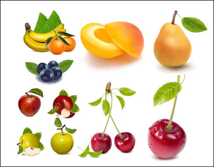 AI Vector Zeichnung realistisch Obst