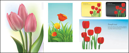 Tulpen Vektor Material