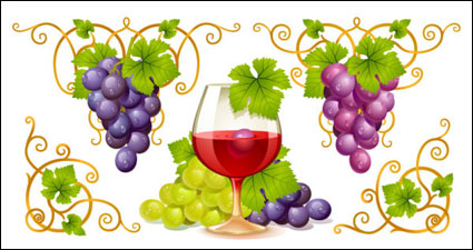 Vector Rebe und Wein