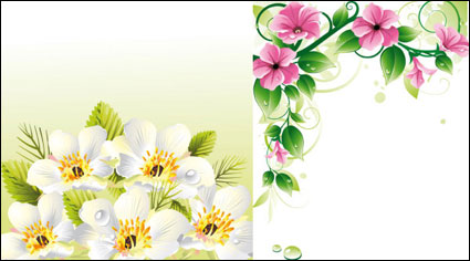 Vector Blumenrabatten \ u0026amp; Hintergrund