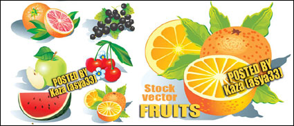 Vector Frchte
