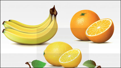 Vector frisches Obst