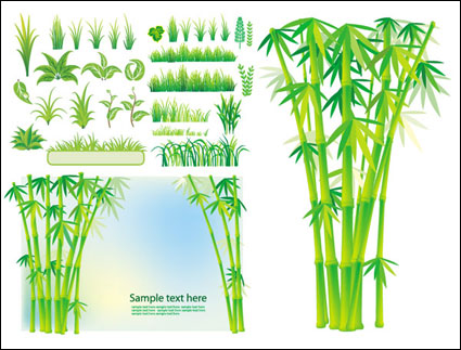 Vector Bambusgras Pflanze