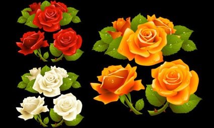 Was fr eine schöne Rose Vector