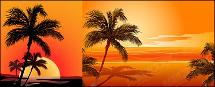 Coconut Beach Sunset Schatten Vektor