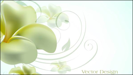 Text elegant Lilie Design-Hintergrund Vektor Material