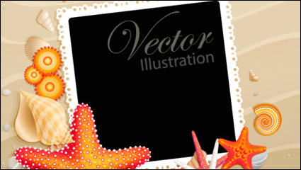 Muscheln und Seesterne Material 05 - Vektor