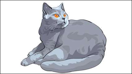 Tierisches Material Katze 03 - Vektor