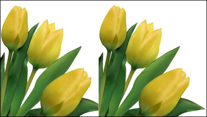 Helle Tulpen 03 - Vektor Material