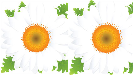 Schöne kleine Blumen Vektor Material -2