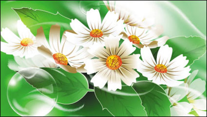 Schöne Blumen 03 - Vektor Material