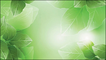 Traum-Anlage Vektor Hintergrundmaterial -4