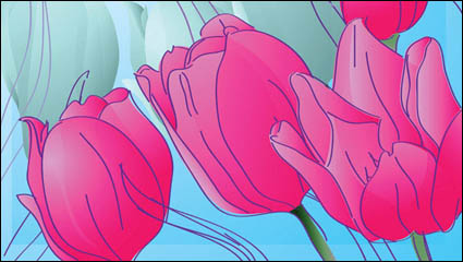 Handbemalte Tulpen Vektor Material -1