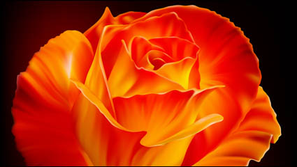 Roses Vektor Material
