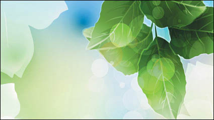 Traum-Anlage Vektor Hintergrundmaterial -6
