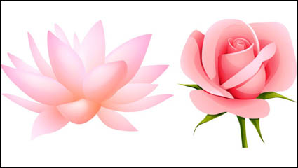 Schöne kleine Blumen Vektor Material -4