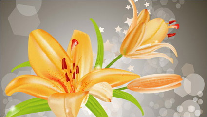 Gelbe Lilien Vektor -3