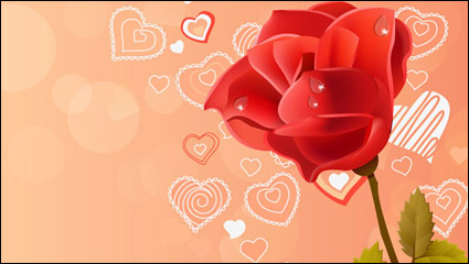 Rosa Rose rote Rose Vektor