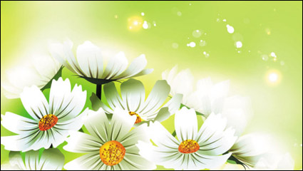 Schöne Blumen 01 - Vektor