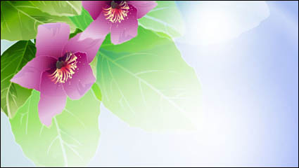 Schöne Blumen Vektor Material -3
