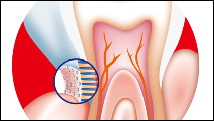 Dental-internen Vektor