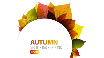 Herbstlaub Vektor Material -1