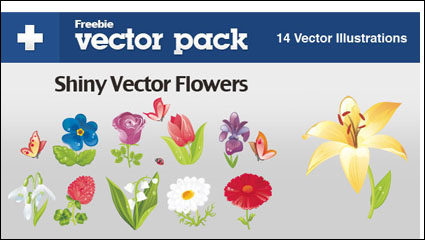 Schöne Blumen - Vektor